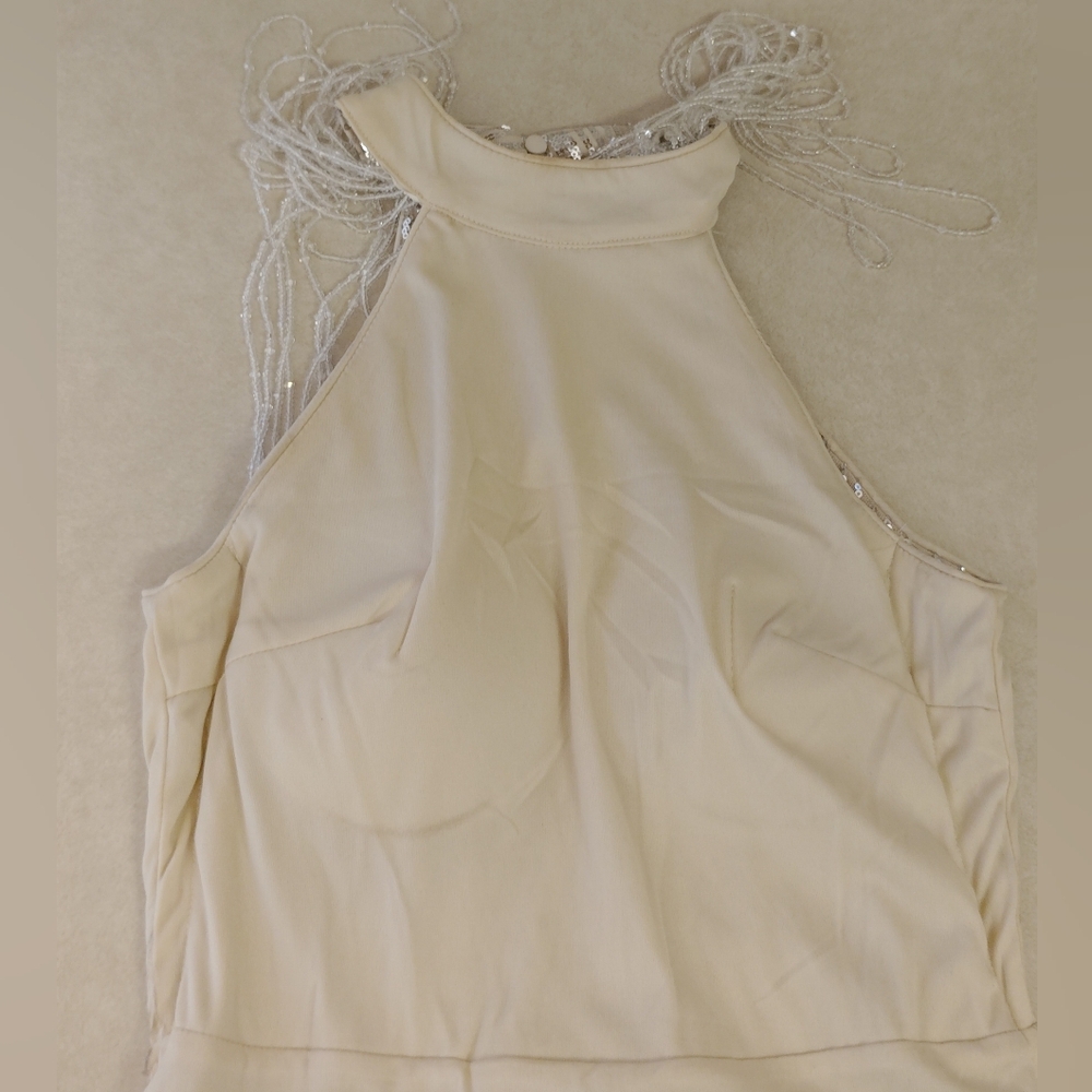 Elegant Silver Evening Gown - Picture 10 of 10